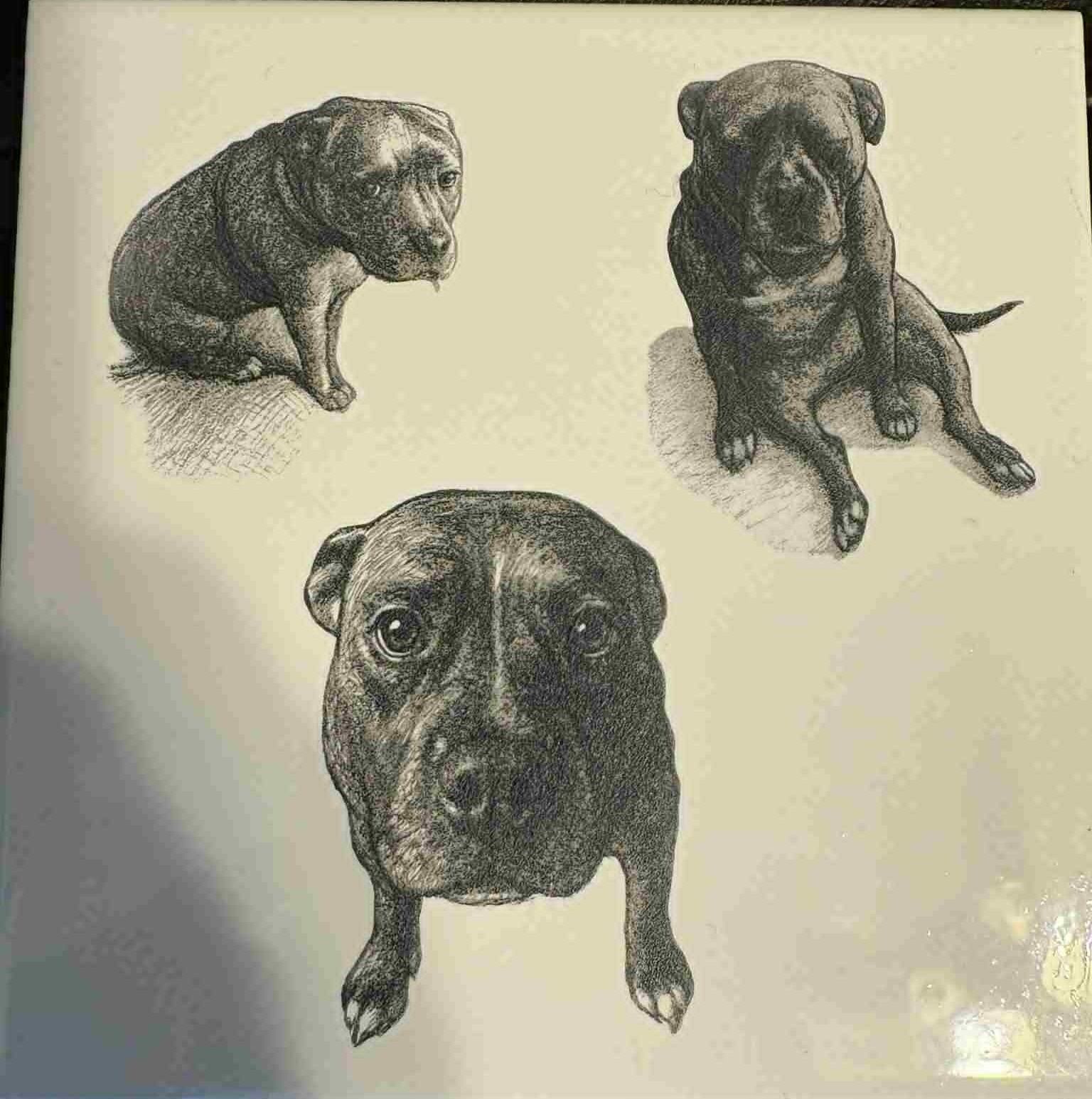Maggie