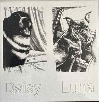 Daisy & Luna